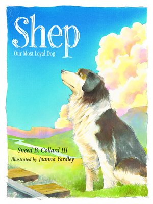 cover image of Shep